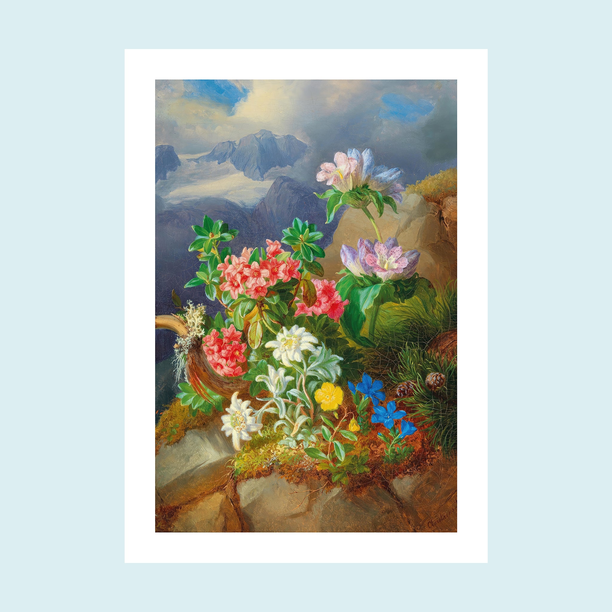 Attraction - Alpine Flowers - Giclée Print by ArtFarty #Frame_Unframed